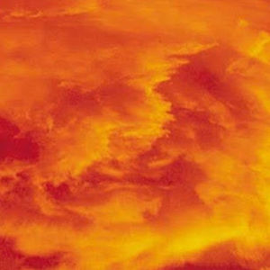 Meet your Posher, Jackson